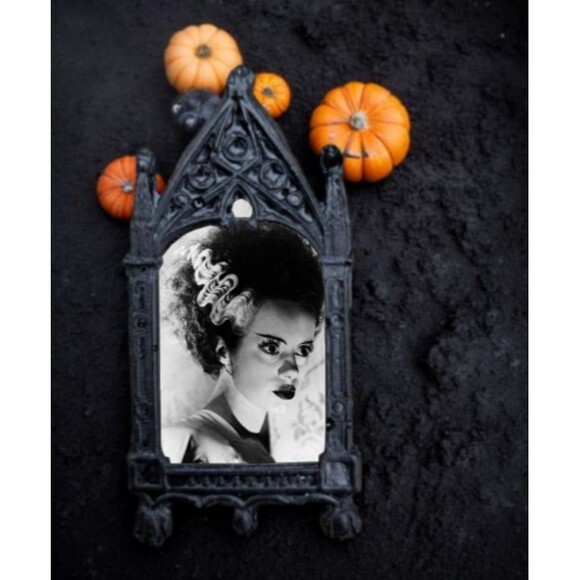 Bride of Frankenstein Magnet Elsa Lanchester 1935 Classic Monster Movie Decor - Picture 2 of 4